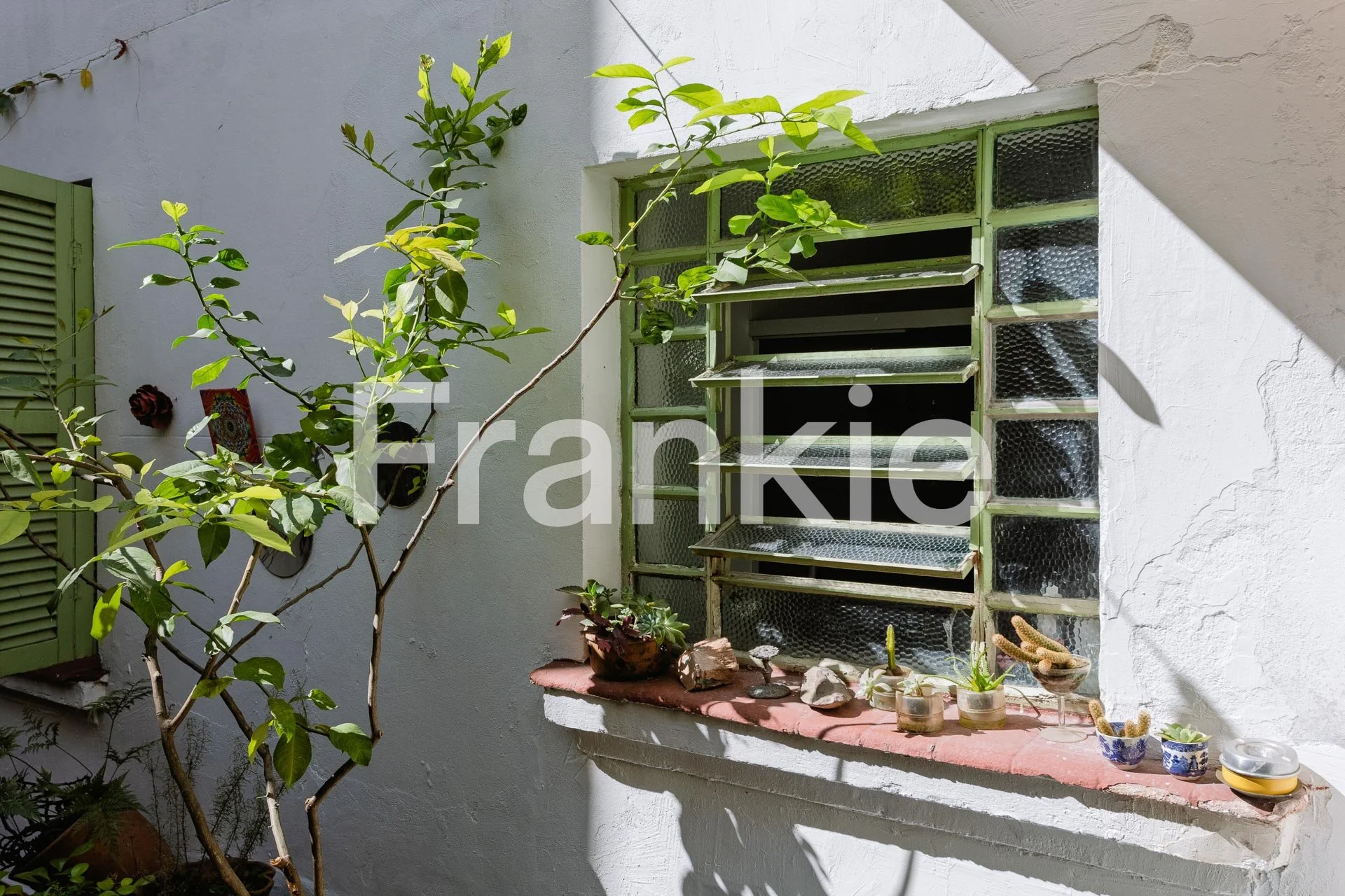 APARTAMENTO GARDEN NA ACLIMACAO-095.jpg