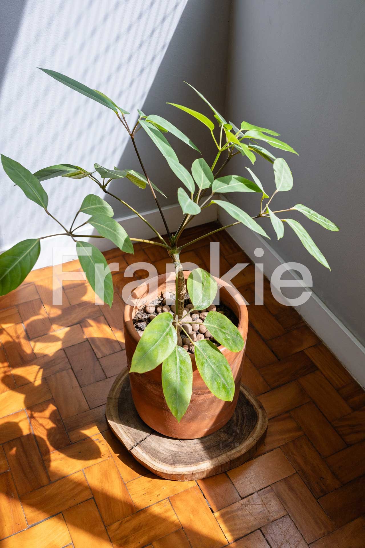 FRK121 - APARTAMENTO NA MOOCA-074.jpg