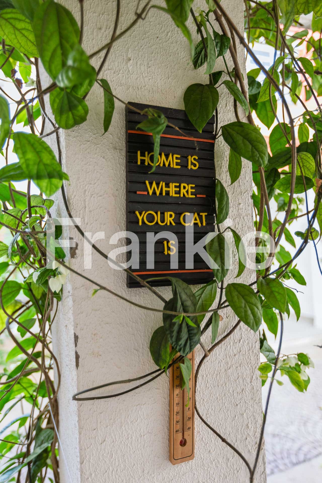 FRK118 - CASA A VENDA NO IPIRANGA-112.jpg