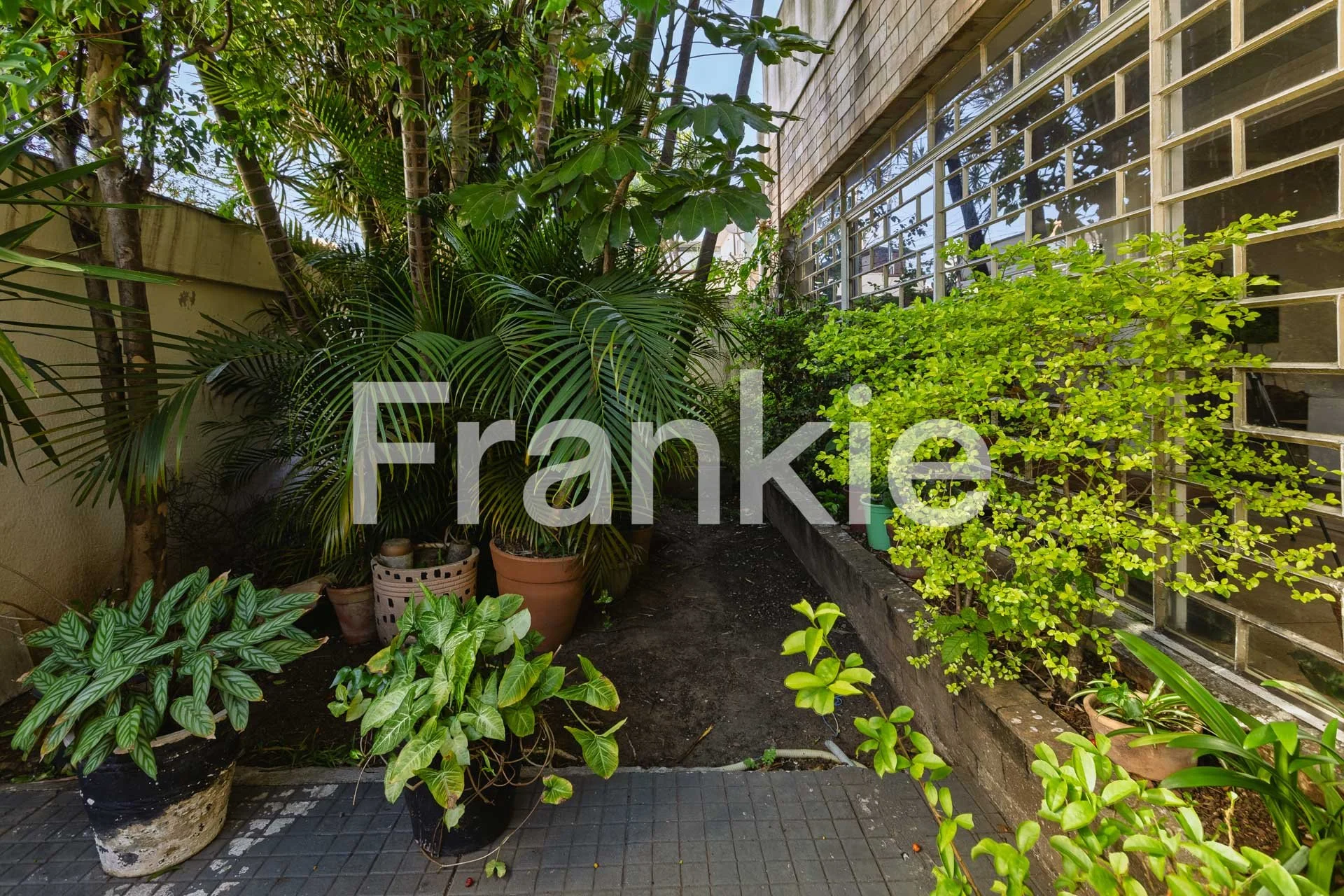 FRK118 - CASA A VENDA NO IPIRANGA-083.jpg