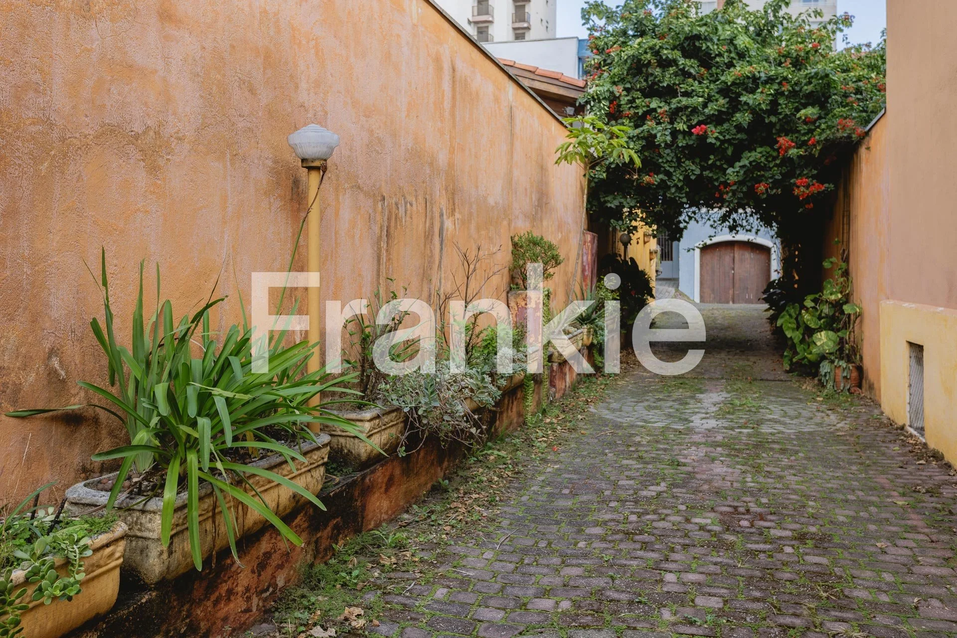 53856 - CASA DE VILA A VENDA NA VILA MARIANA-02.jpg