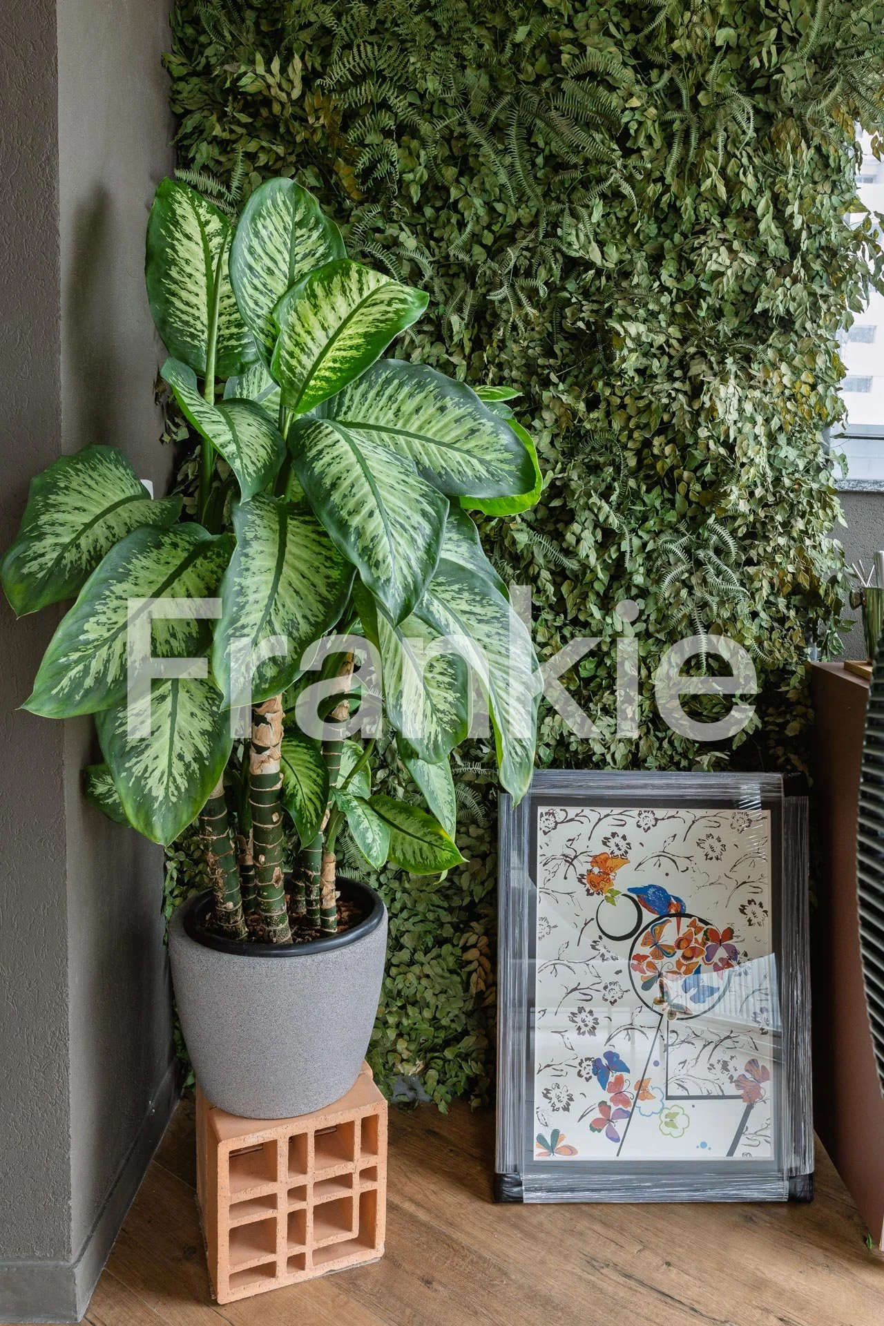 FRK134 - APARTAMENTO A VENDA NA ACLIMACAO-098.jpg