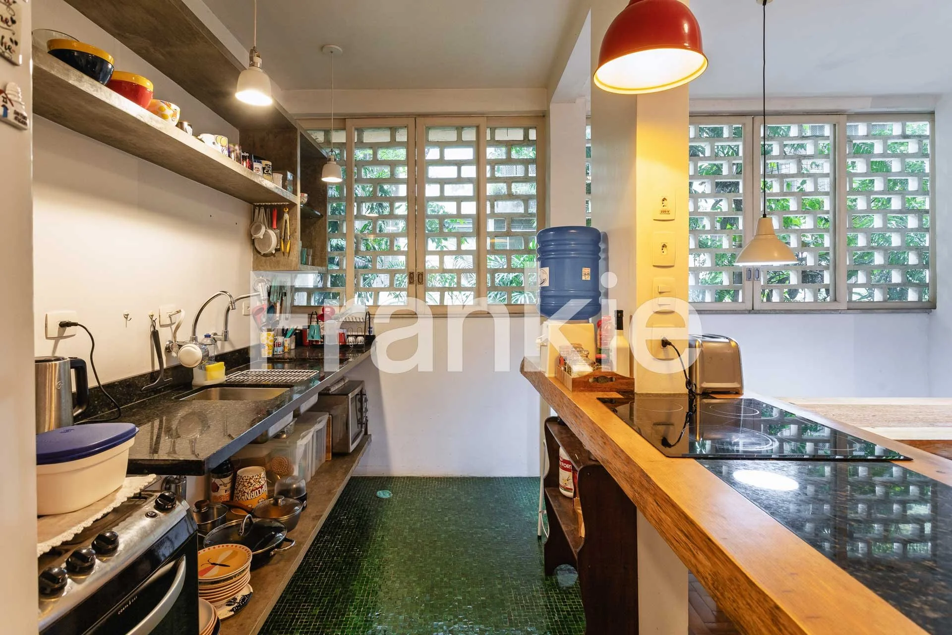 Alceu Wamosy_Leandro Furini-16.jpg