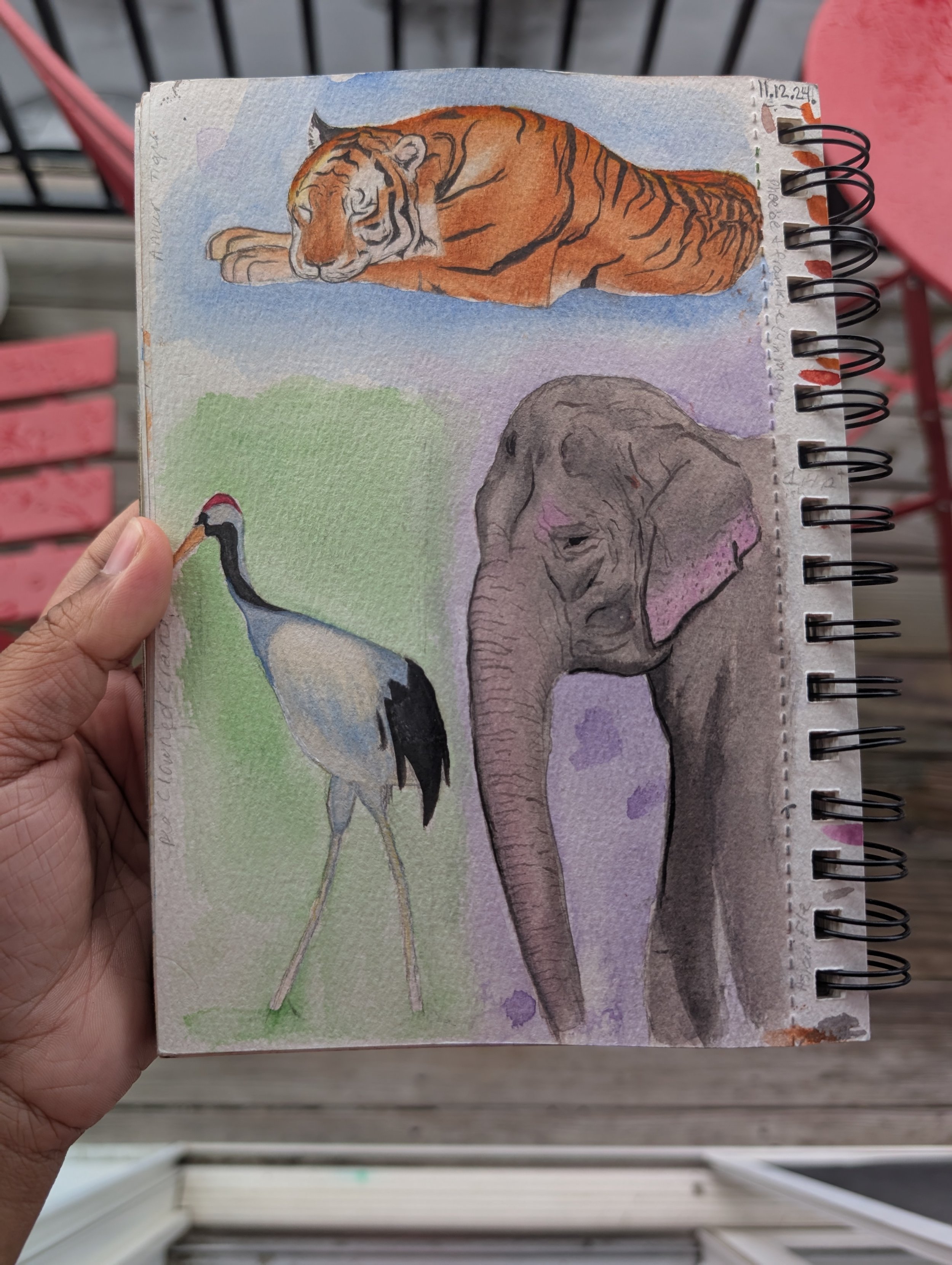 Zoo2024- Asia quest.jpg