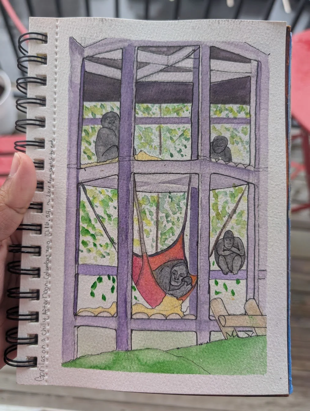 Zoo2024- Gorillas.jpg