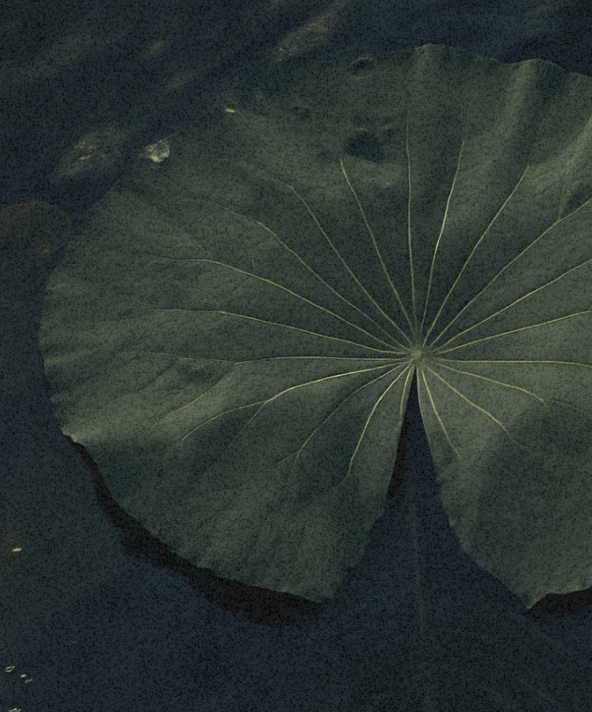 Functionality is not the same as living embodied </span>