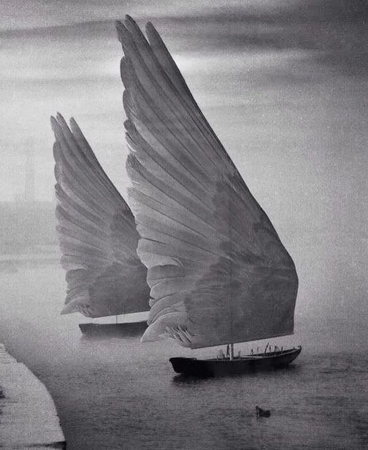 A boat on the water with oversized bird wings as sails.