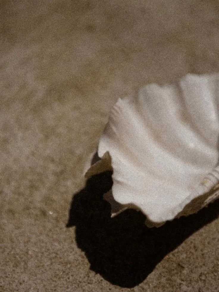 A black and white cat playing with a large seashell on a carpeted floor.