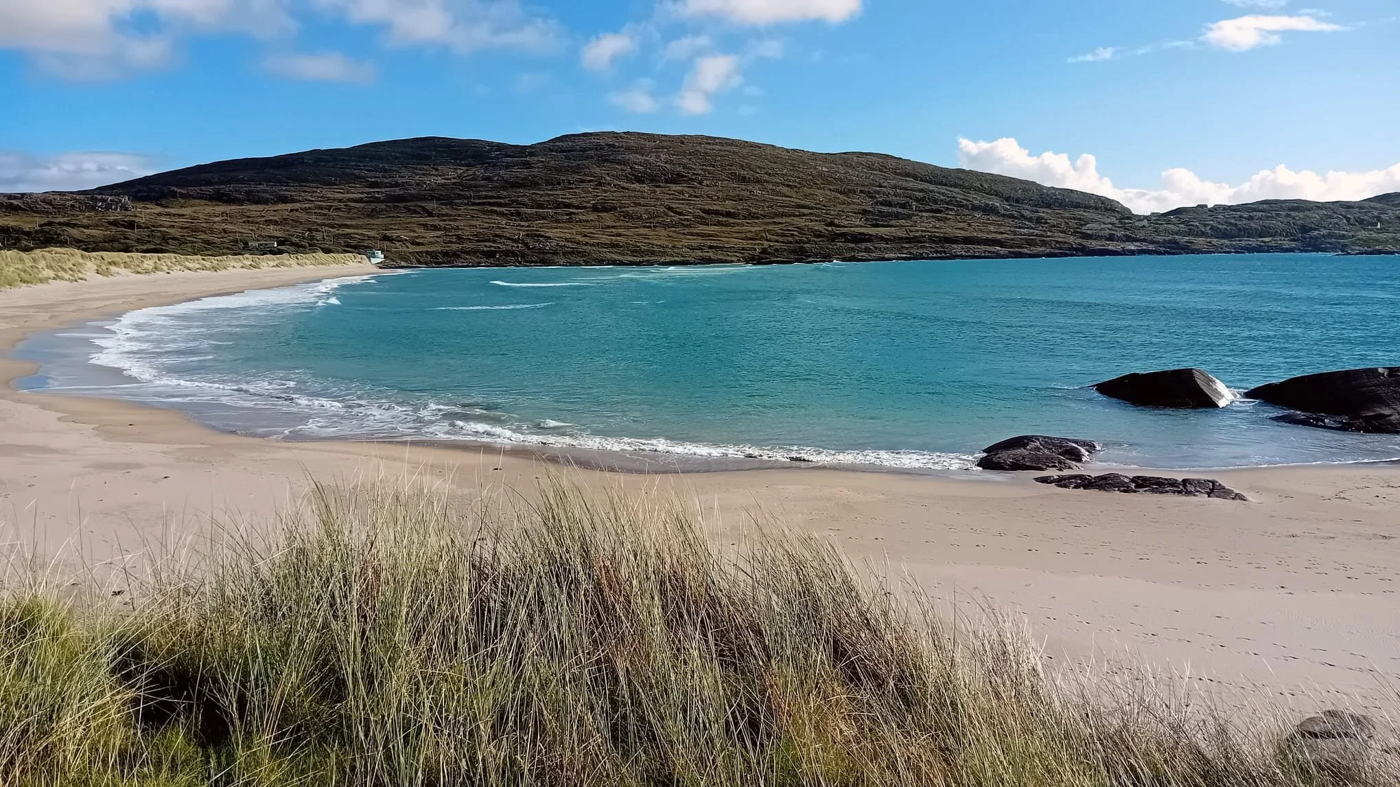 WhatsApp Image 2024-09-30 at 20.20.10_c56f18ff (1).jpg