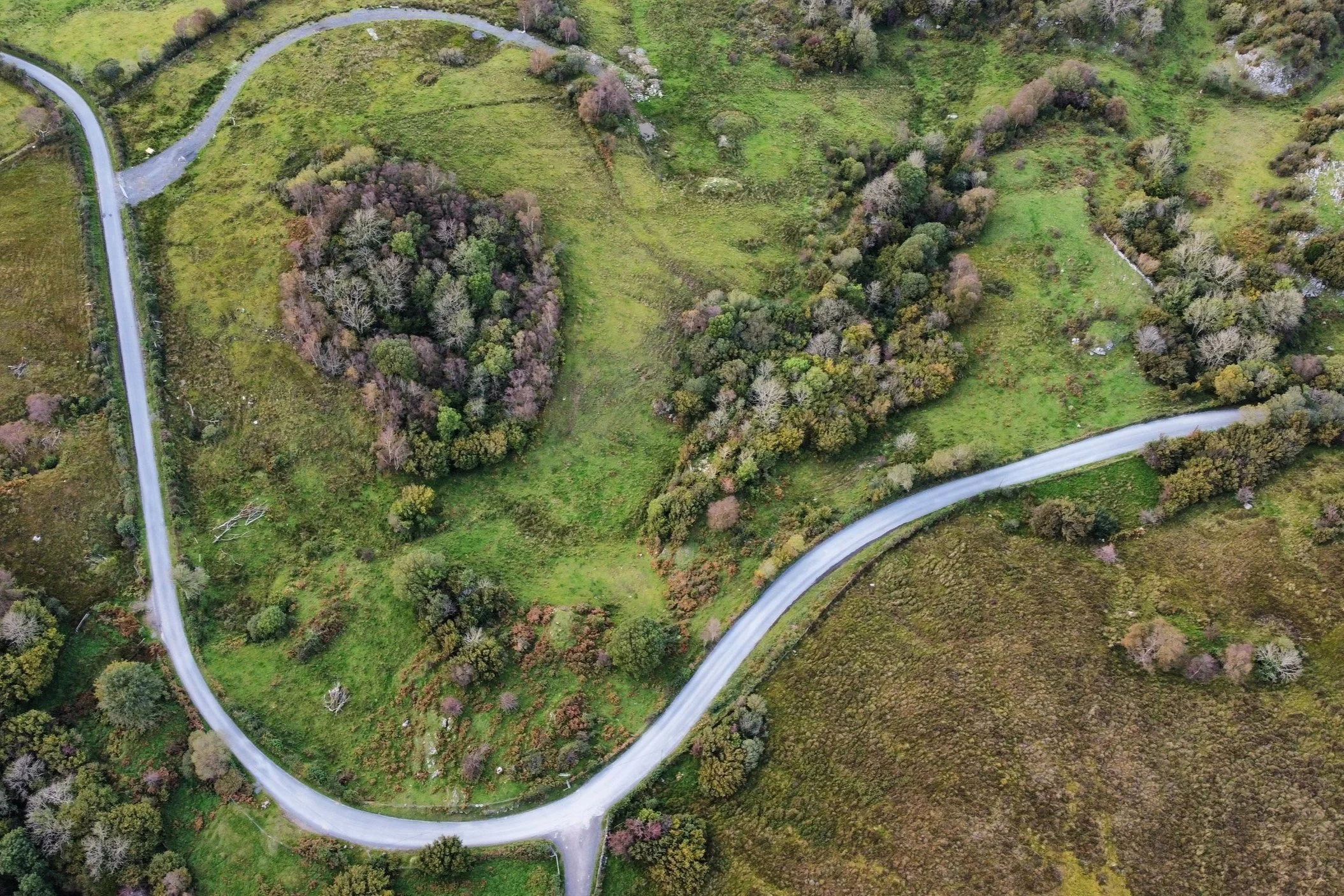 Country Roads Bogs Arial.jpg