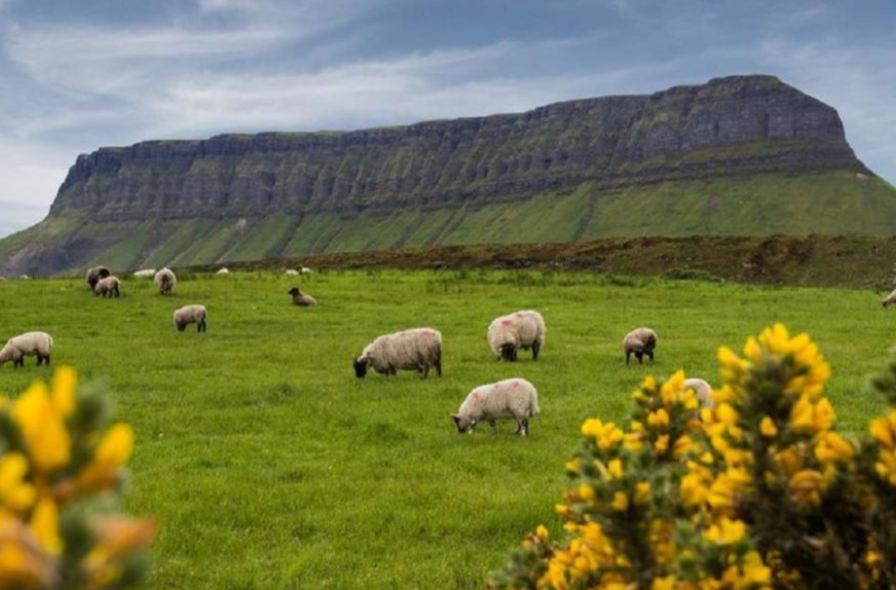 Benbulben+Mountain+Sligo+%282%29.png
