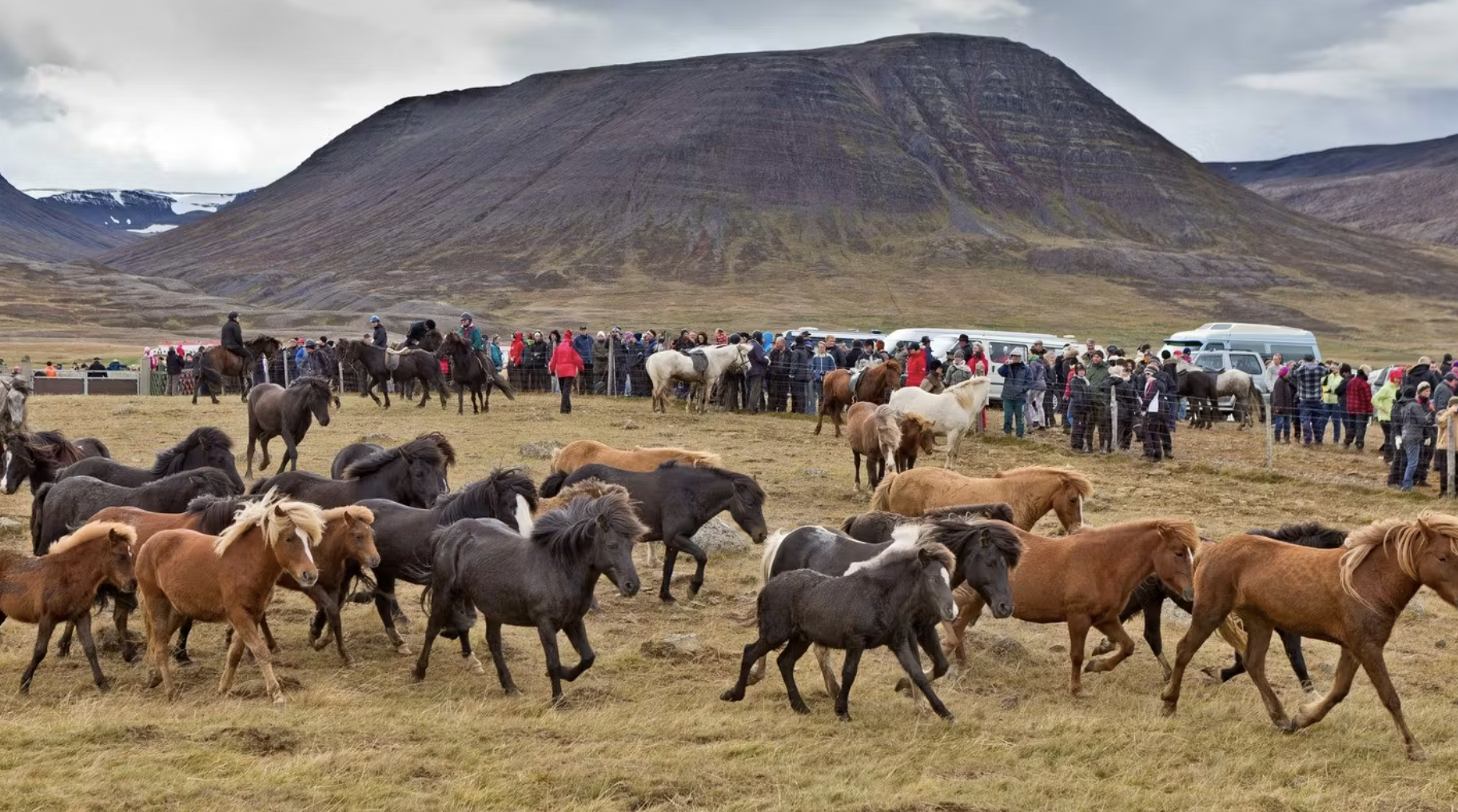   Jóna Tours  Iceland: Relaxed Mode Tour NEW TOUR   Tour details &amp; booking  