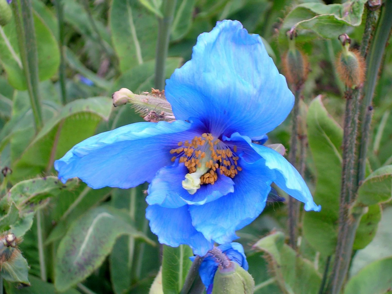 DSCN3063.JPG