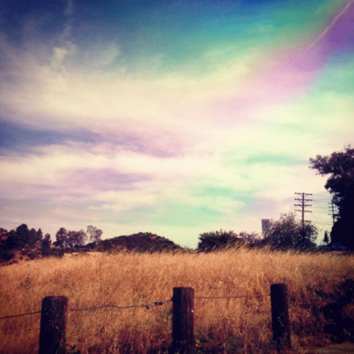 MULHOLLAND AND LAUREL