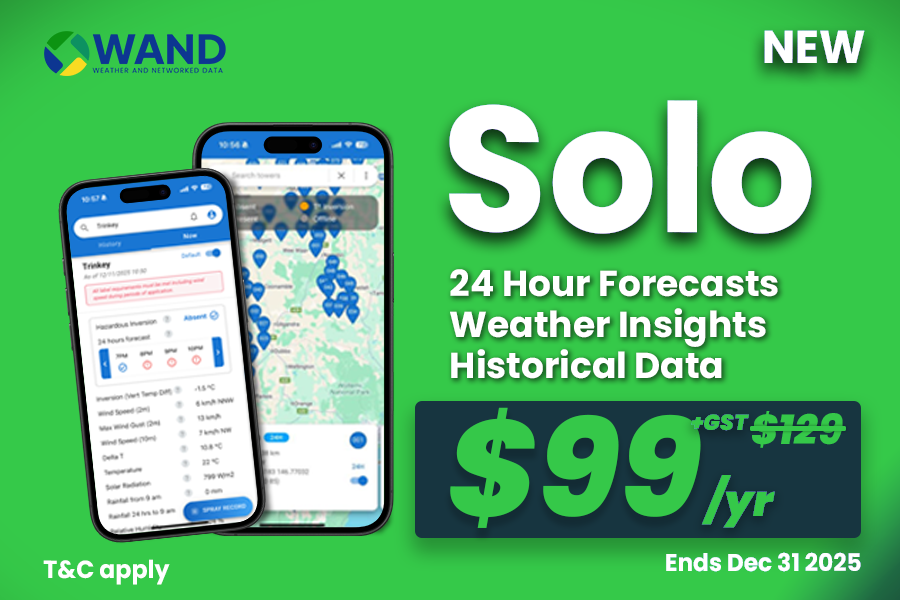 What's New in WAND? (2025)