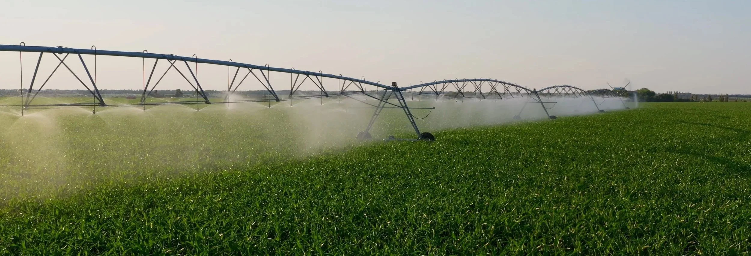 shutterstock_1091823681 copy.jpg