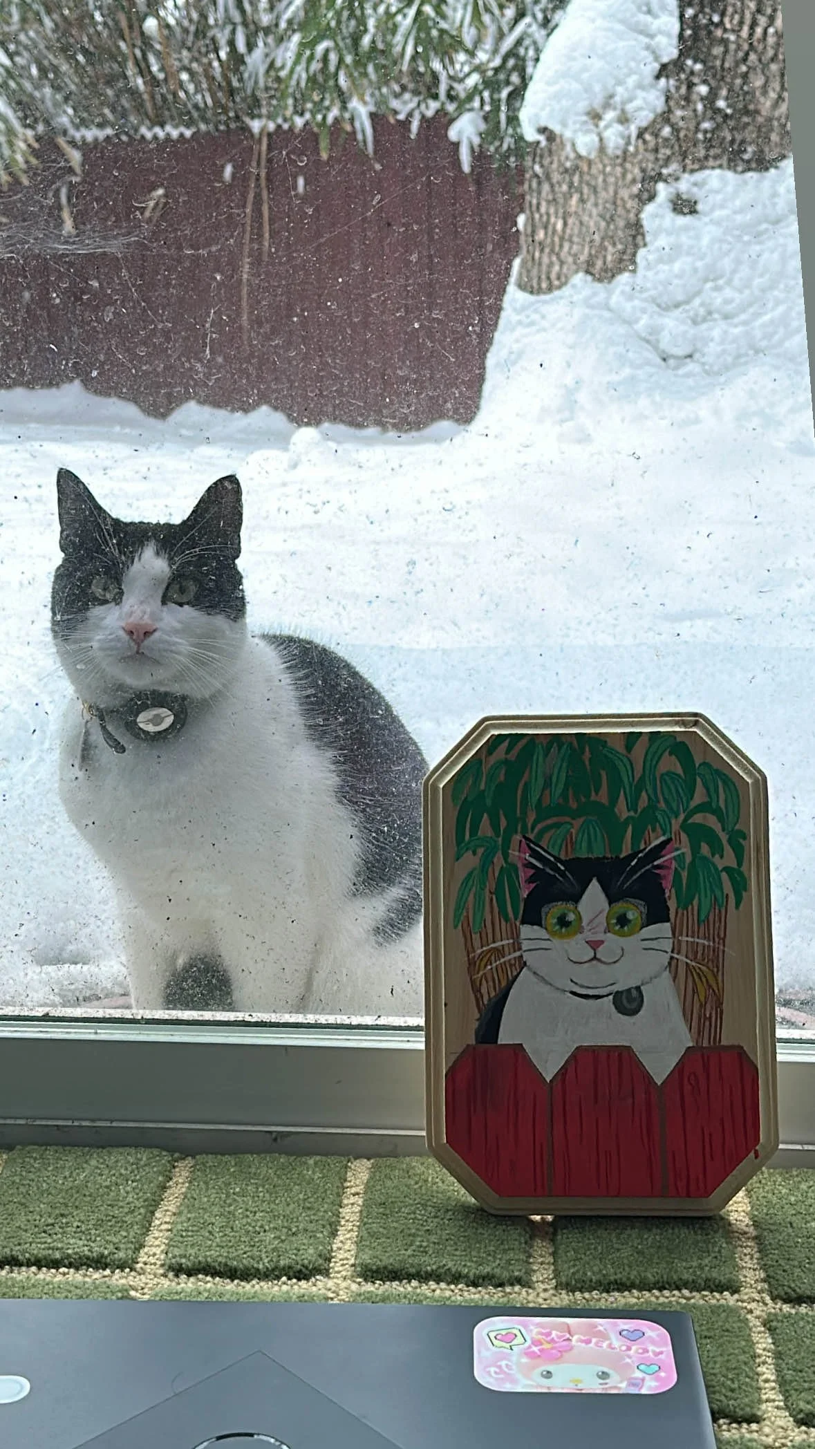 A black and white cat is standing outside a glass door, looking through the window. There is a decorated card or picture of a cat with big eyes and a collar, placed near the door. Snow covers the ground and a brick wall is in the background.
