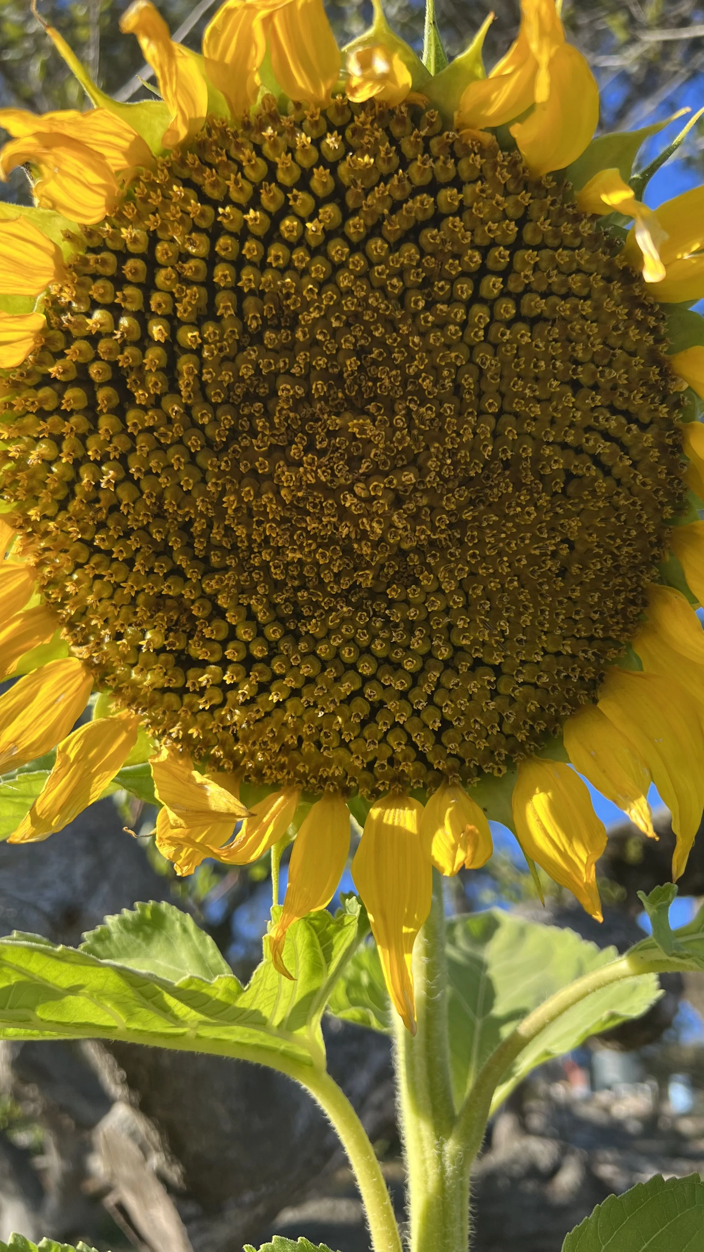 What to do when you’re feeling overwhelmed