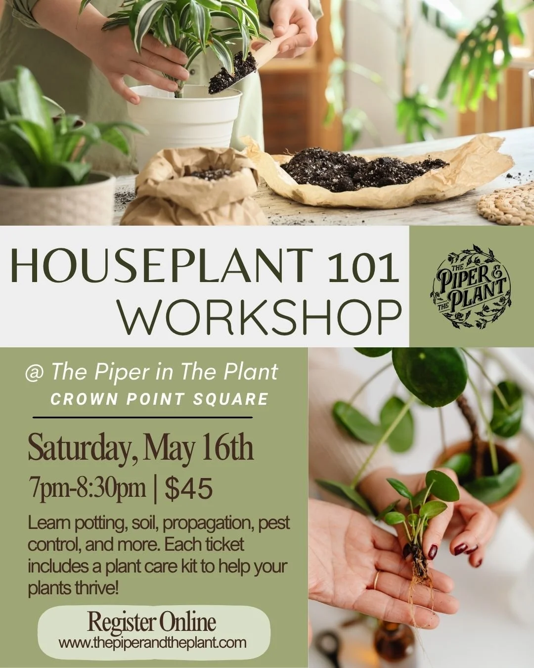 Houseplant 101 Class.jpg