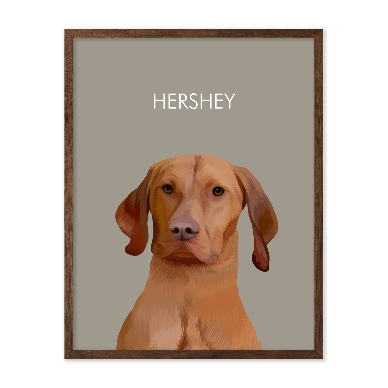 Soft Neutral Colored Background Pet Portrait