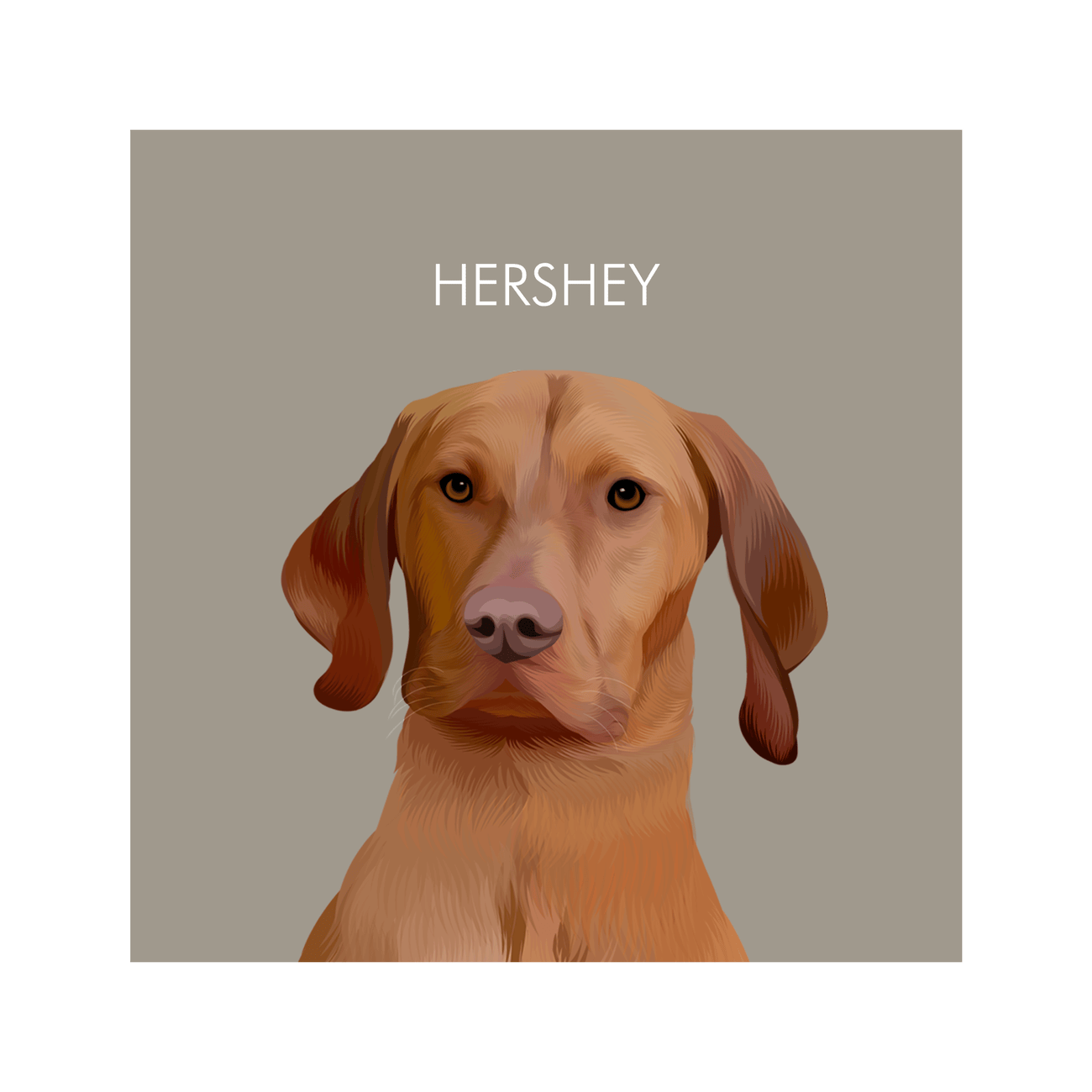 1petportrait-square-beige-softneutralcoloredbackground_Print-Only.png