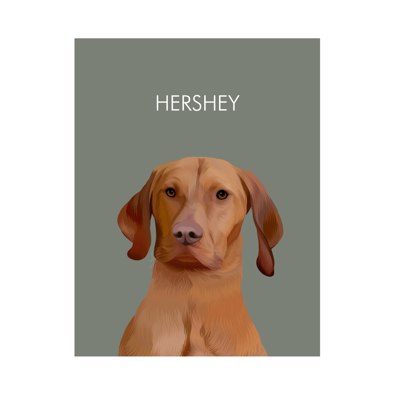 Framed pet portrait artwork of a Vizsla dog named Hershey on a neutral green colored background, printed on enhanced matte paper.