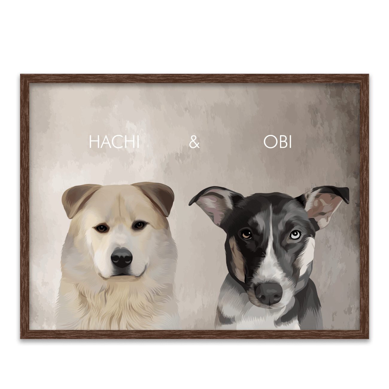 Hand-illustrated pet portrait of a white Akita named Hachi and a black dog named Obi, centered on a textured limewash background, and displayed in a dark walnut frame.
