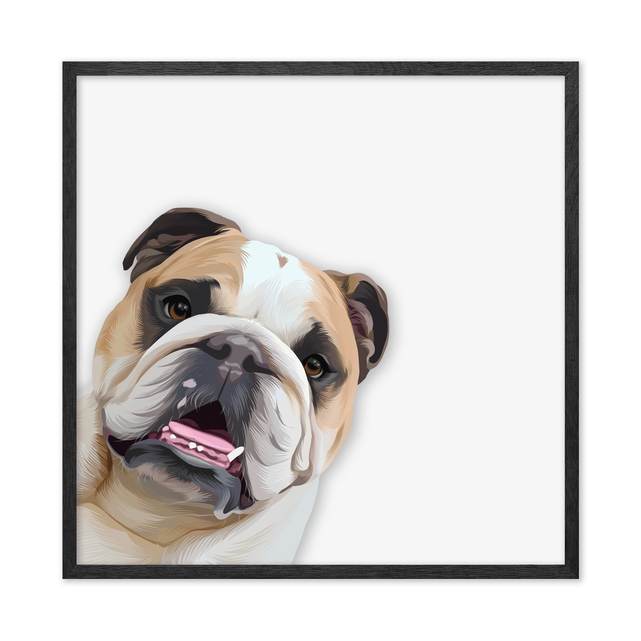 This playful peekaboo Bulldog pet portrait captures a curious expression in a square layout with modern illustration styling in a black oak frame.