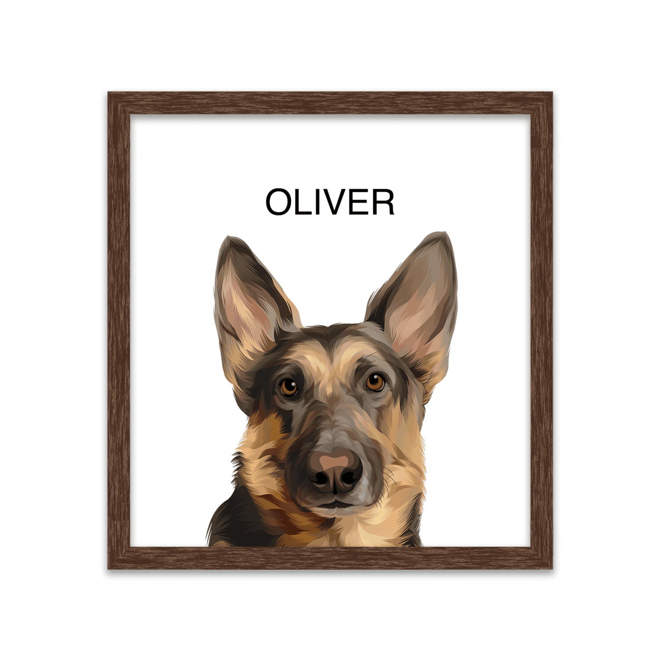 Pet portrait artwork of a German Shepherd dog named Oliver on a white background, placed in a square walnut frame.