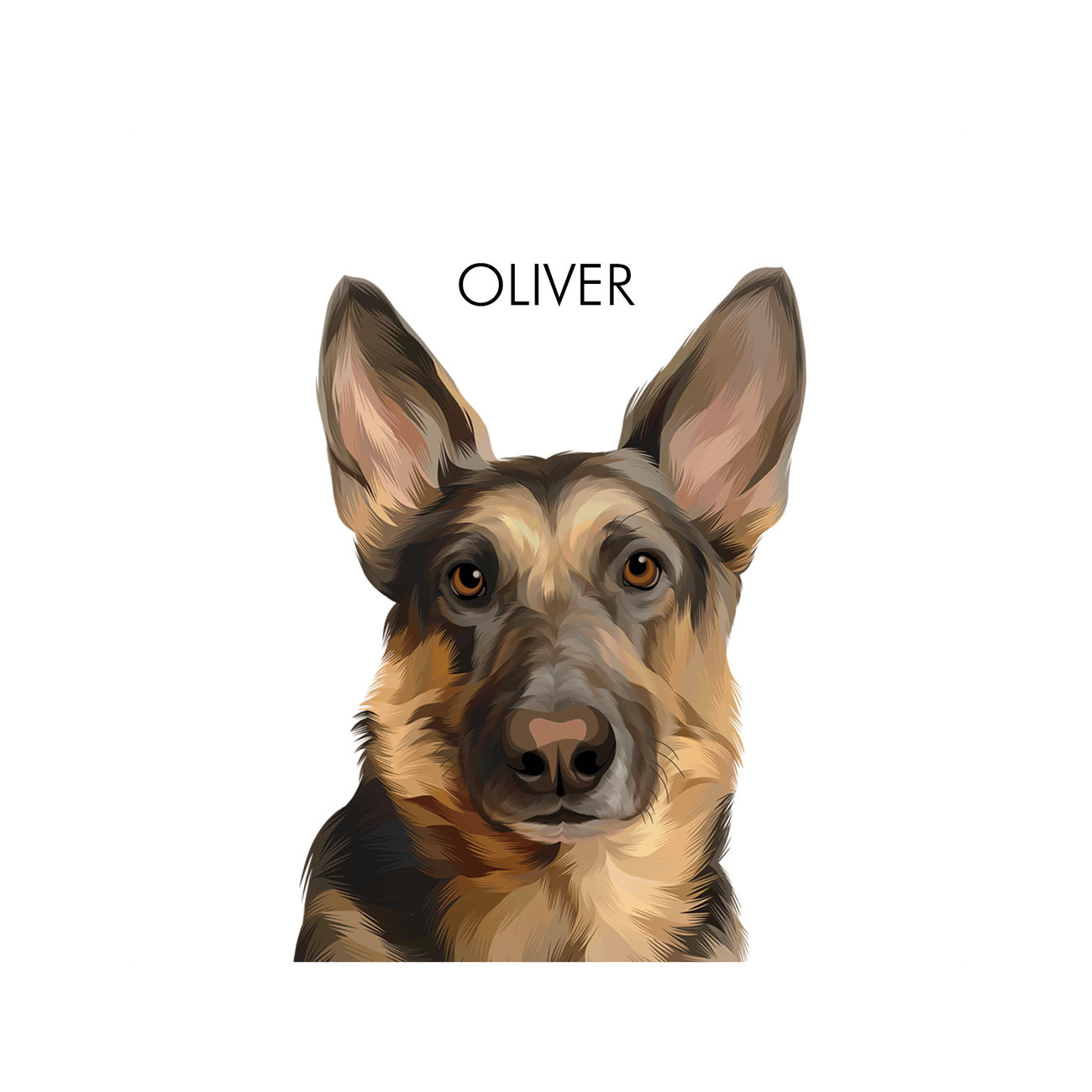 Print only German Shepherd artwork in a square format with warm natural coloring and a bright white backdrop.