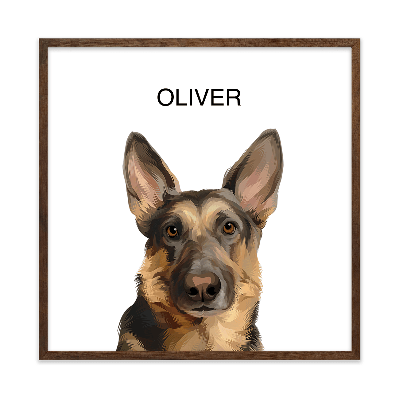1petportrait-square-theoriginalhandillustrated_Walnut-Frame.png