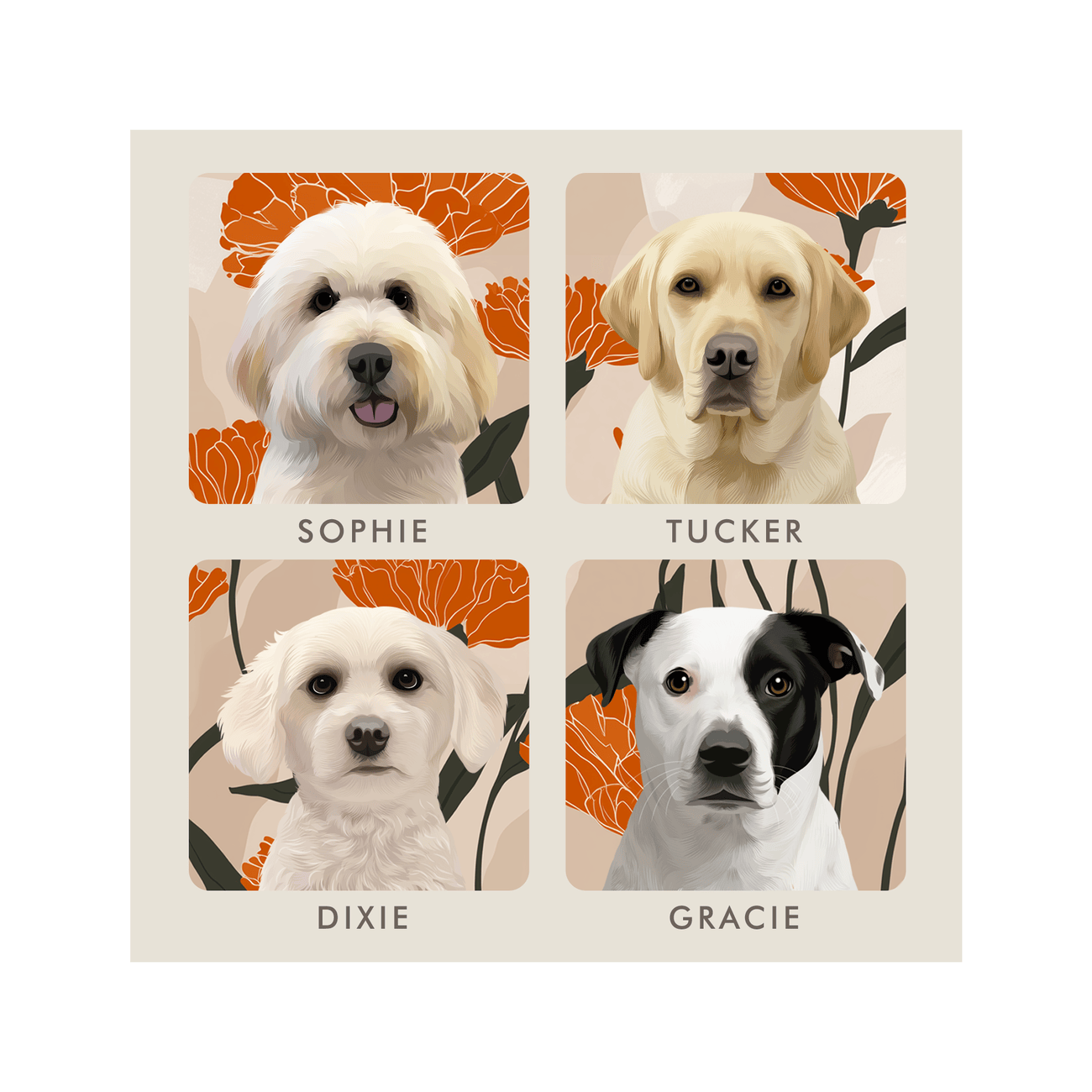 4petportrait-square-bloomingmarigoldfloralillustration_Print-Only.png