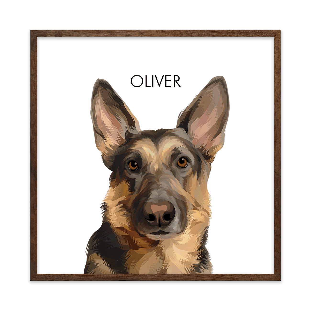Warm walnut framing gives this square German Shepherd portrait a cozy modern look against a clean white background.