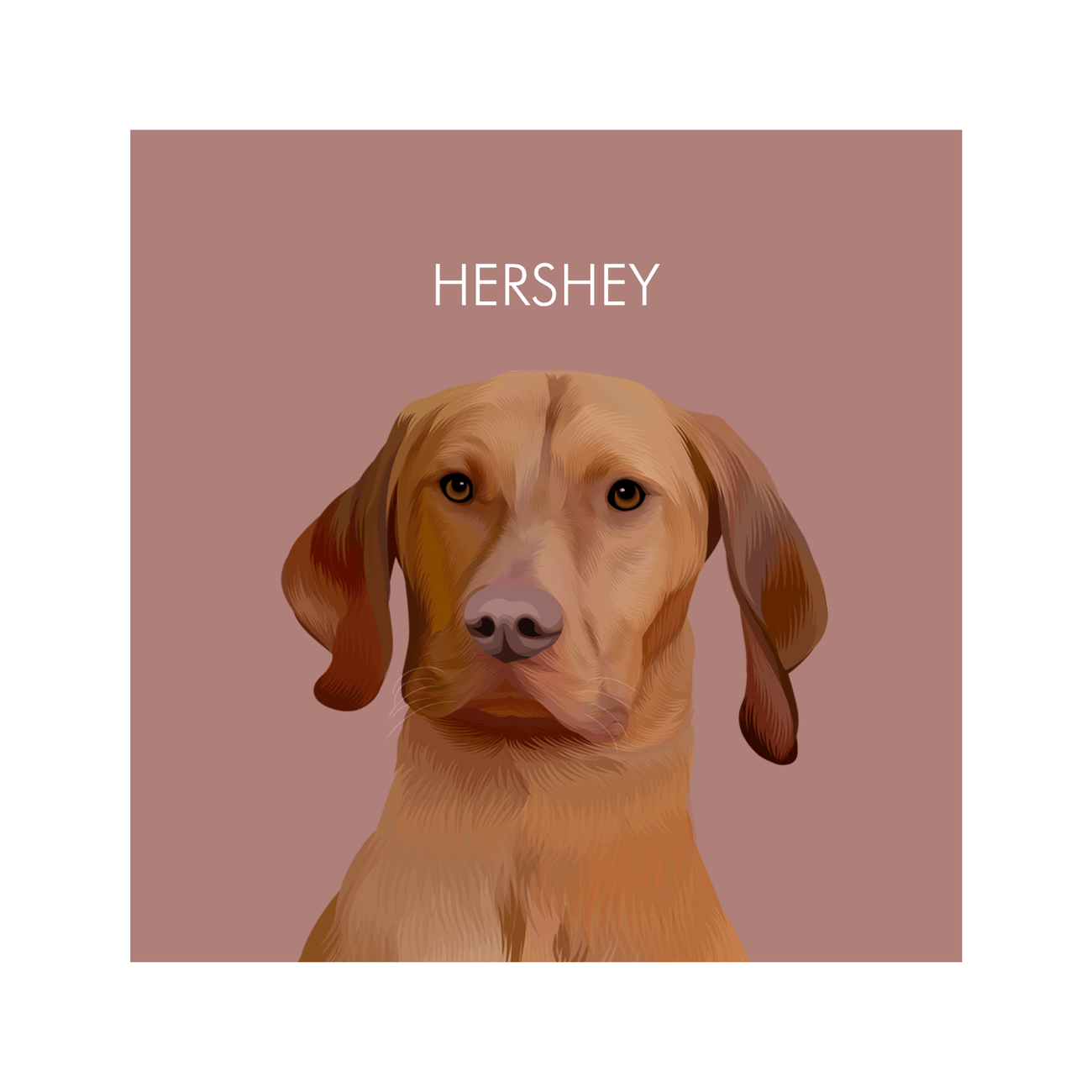 1petportrait-square-red-softneutralcoloredbackground_Print-Only.png