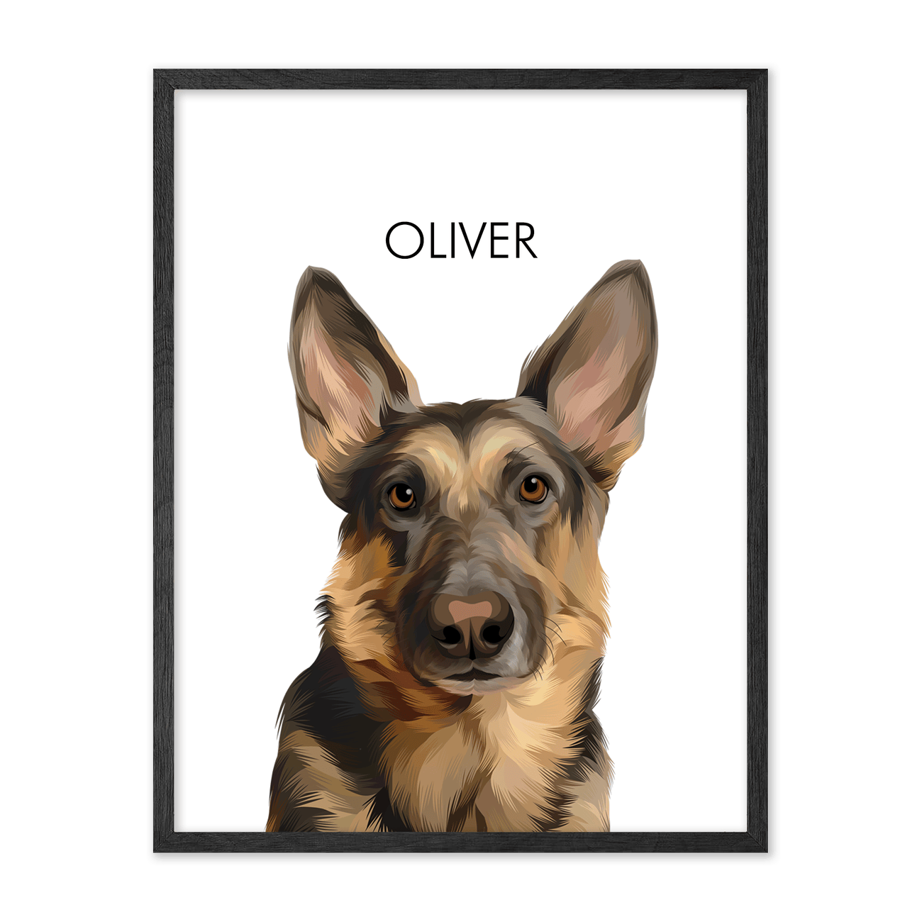Styled in a vertical format, this German Shepherd dog portrait is paired with a black oak frame and clean white backdrop.