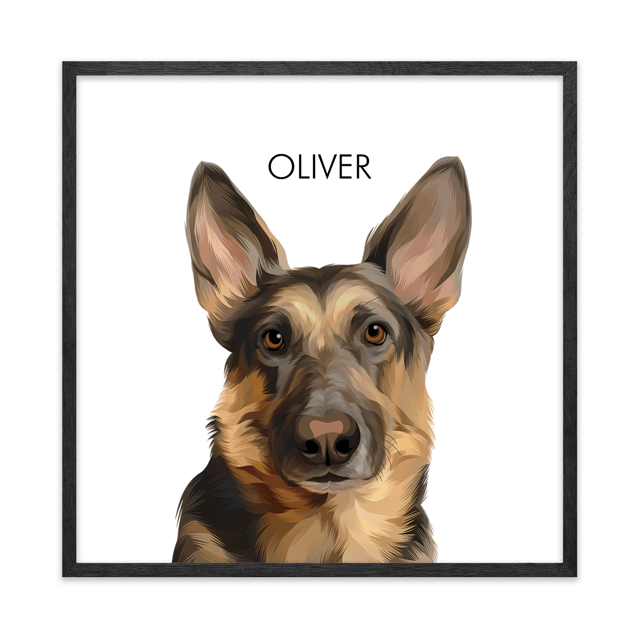 Framed in black oak, this German Shepherd dog portrait features a clean square layout with modern white background styling.
