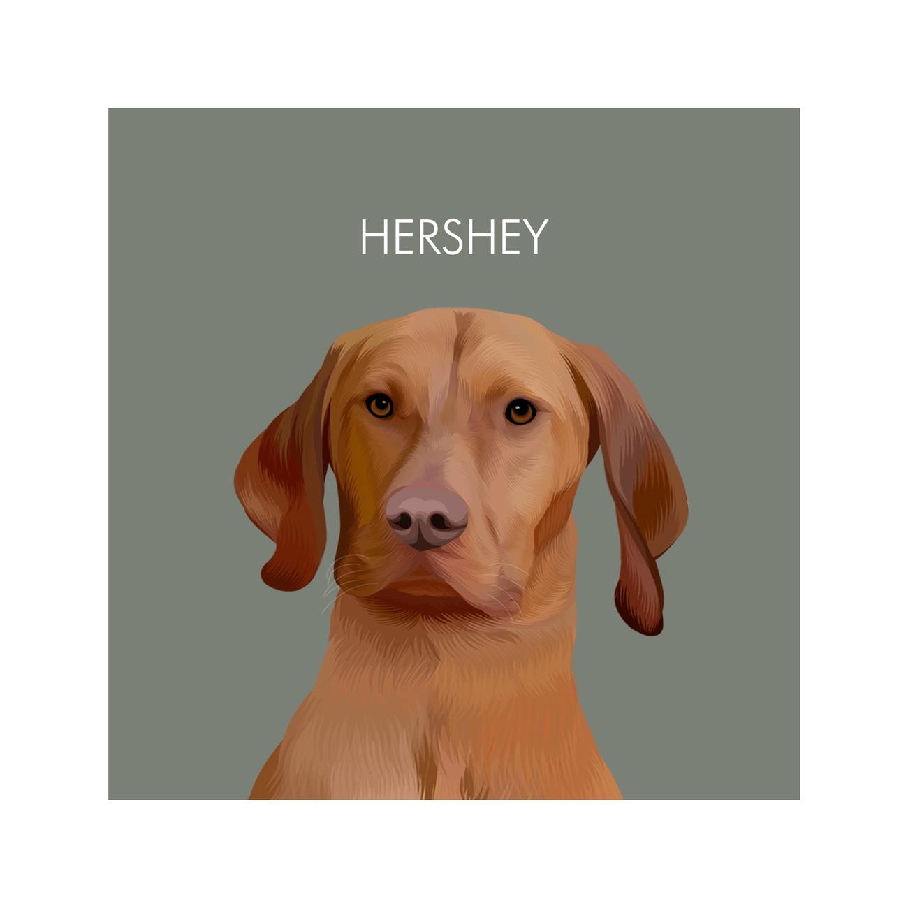 1petportrait-square-green-softneutralcoloredbackground_Print-Only.png
