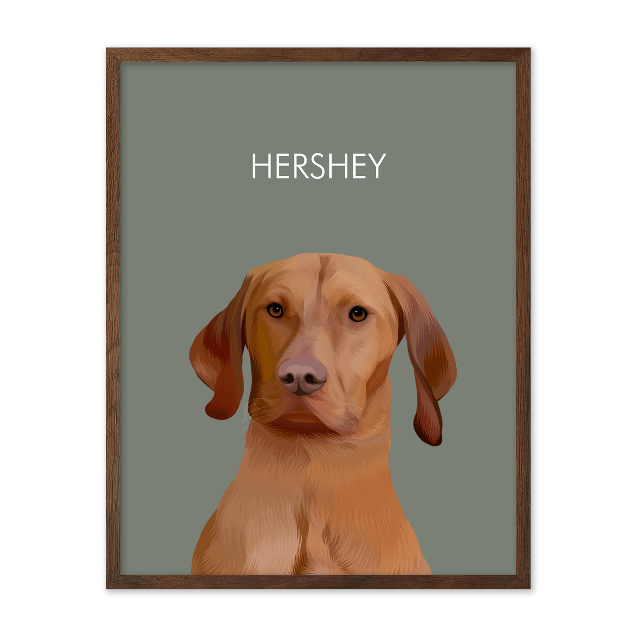 Framed pet portrait artwork of a Vizsla dog named Hershey on a neutral green colored background, framed in a dark walnut frame.