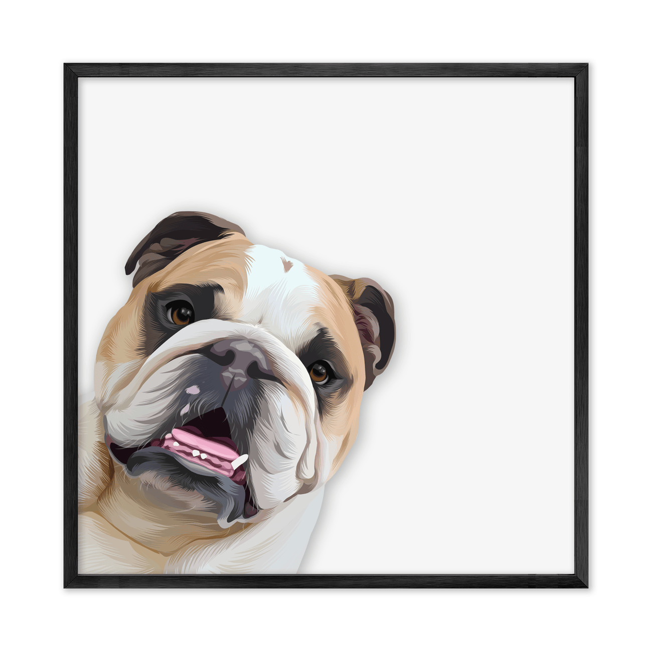 A fun and expressive playful peekaboo Bulldog portrait displayed in a square format with modern pet illustration styling and metal framing.
