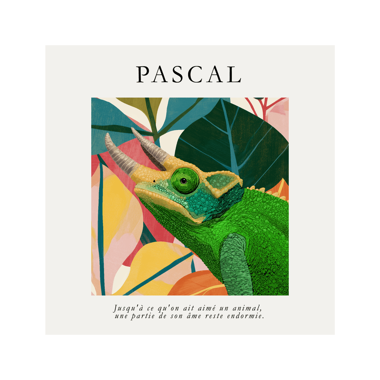 1petportrait-square-playfulabstracttropicalbloompetportrait_Print-Only.png