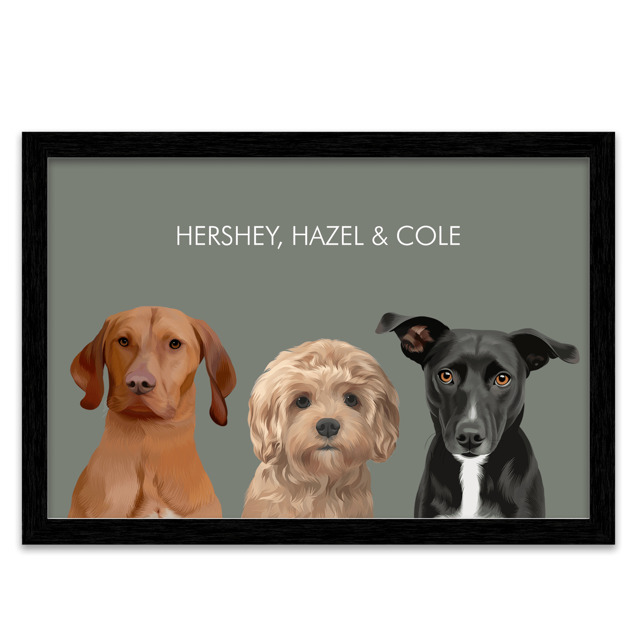 3pet-portrait-square-green-blackframe.png