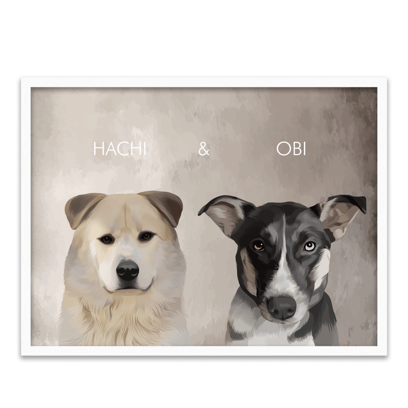 Hand-illustrated pet portrait of a white Akita named Hachi and a black dog named Obi, centered on a textured limewash background, and displayed in a white oak frame.