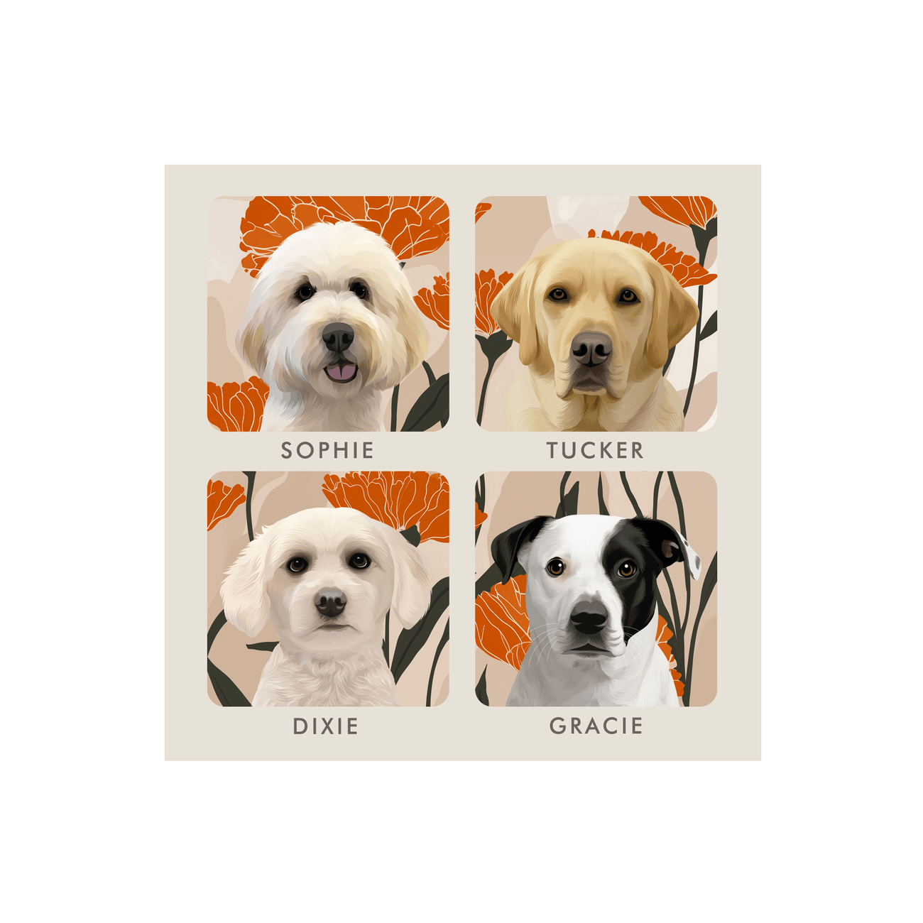 4pet-portrait-square-marigolds-printonly.png