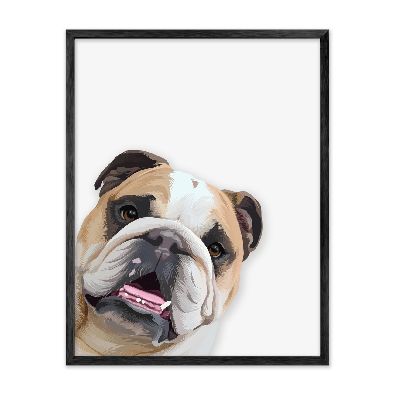 This vertically framed playful peekaboo Bulldog dog portrait combines a tilted pose with a clean contemporary pet portrait style in a black oak frame.