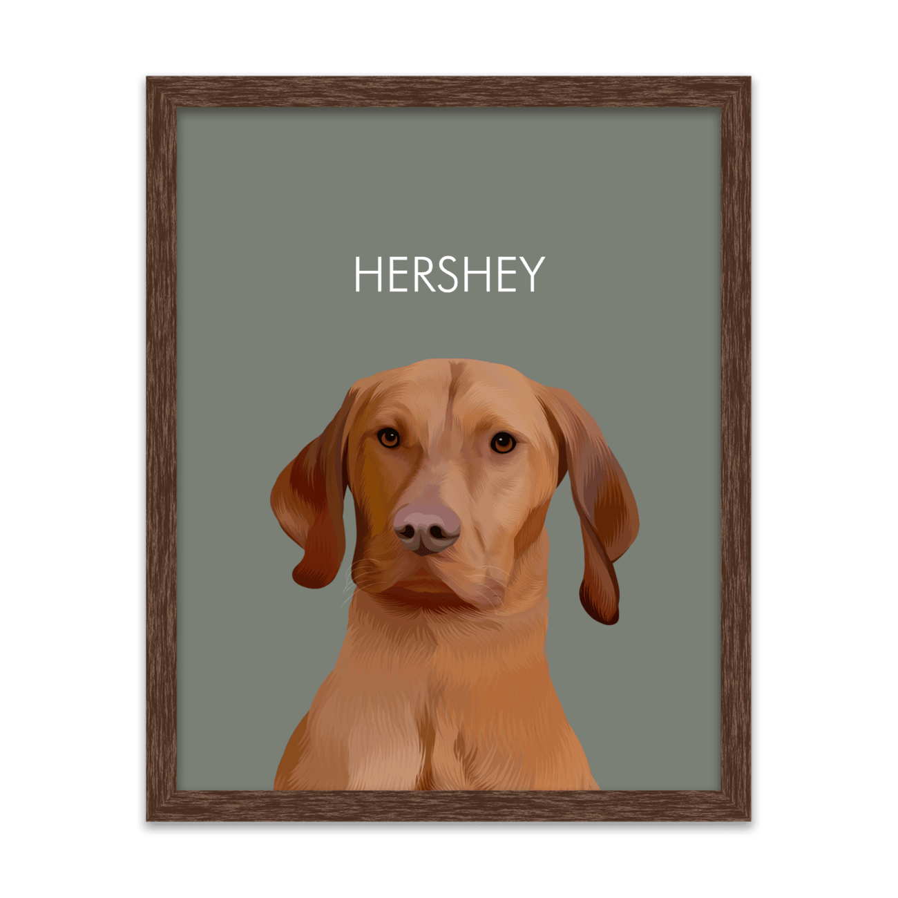 Framed pet portrait artwork of a Vizsla dog named Hershey on a neutral green colored background, framed in a dark walnut frame.