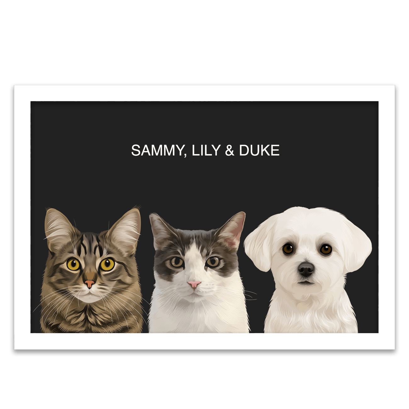 3pet-portrait-horizontal-originalblack-standardwhite.png
