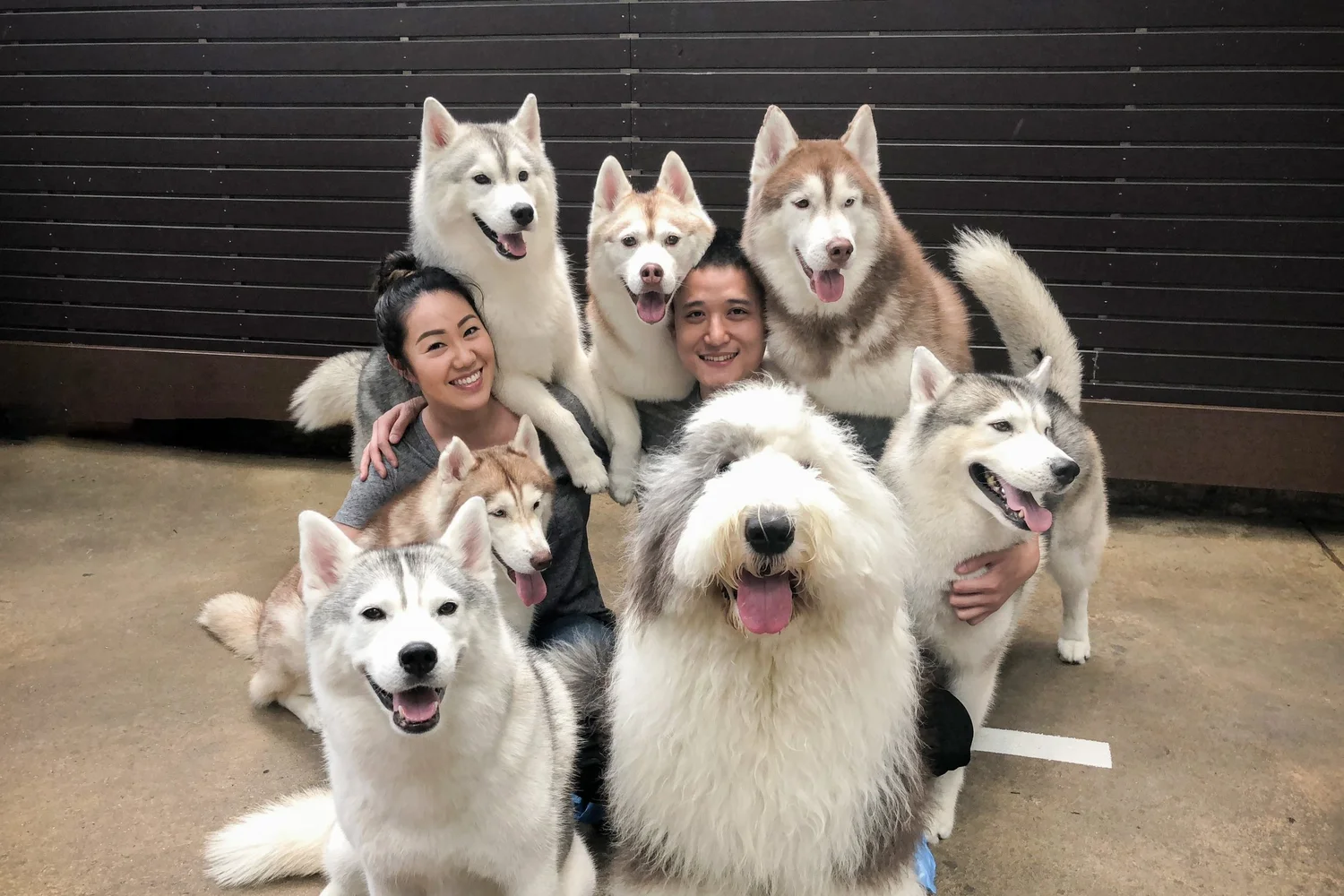 Petprintingco founders surrounded by their dogs