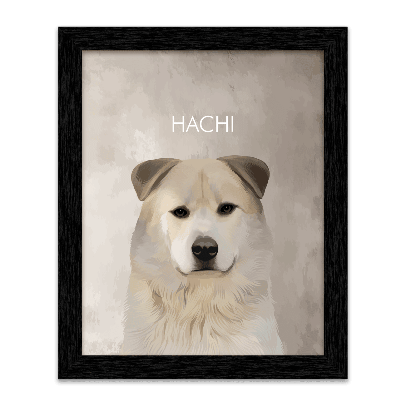Hand-illustrated pet portrait of a white Akita named Hachi, centered on a textured limewash background, and displayed in a black frame.