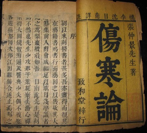 Shang Han Lun .jpg
