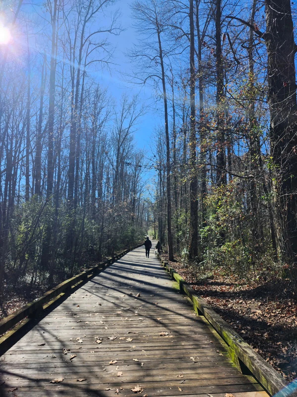 WhatsApp Image 2025-11-28 at 19.08.12 (1).jpeg